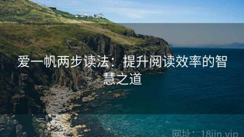 爱一帆两步读法：提升阅读效率的智慧之道