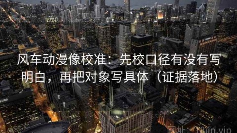 风车动漫像校准：先校口径有没有写明白，再把对象写具体（证据落地）