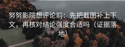 努努影院想评论前：先把截图补上下文，再核对结论强度合适吗（证据落地）