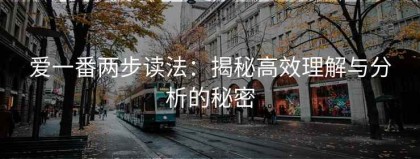 爱一番两步读法：揭秘高效理解与分析的秘密
