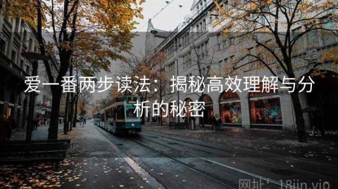 爱一番两步读法：揭秘高效理解与分析的秘密