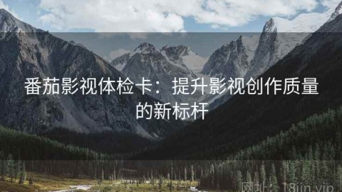 番茄影视体检卡：提升影视创作质量的新标杆