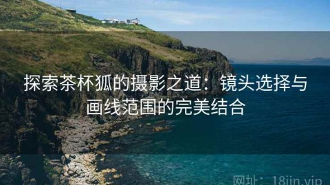 探索茶杯狐的摄影之道：镜头选择与画线范围的完美结合