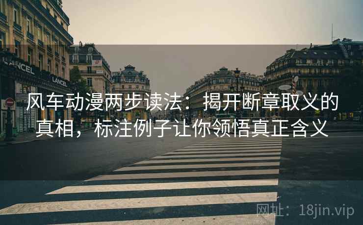 风车动漫两步读法：揭开断章取义的真相，标注例子让你领悟真正含义