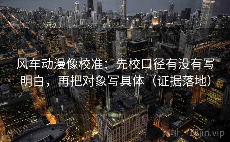 风车动漫像校准：先校口径有没有写明白，再把对象写具体（证据落地）