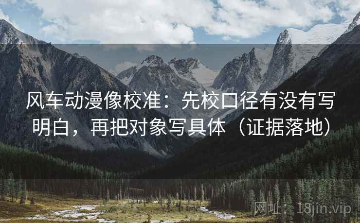风车动漫像校准：先校口径有没有写明白，再把对象写具体（证据落地）