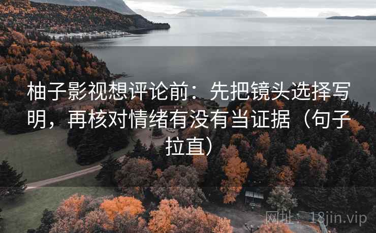 柚子影视想评论前：先把镜头选择写明，再核对情绪有没有当证据（句子拉直）