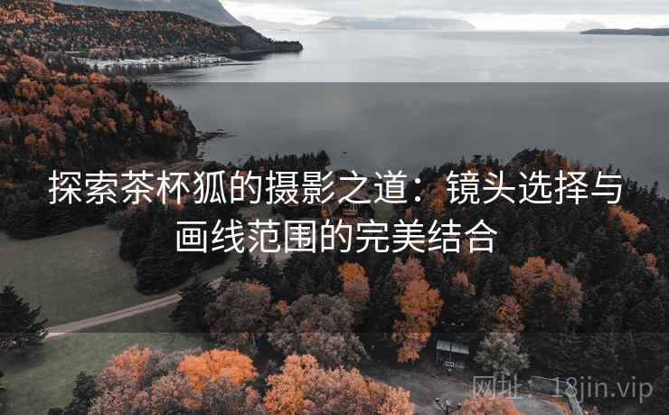 探索茶杯狐的摄影之道:镜头选择与画线范围的完美结合 探索茶杯狐的摄影之道:镜头选择与画线范围的完美结合